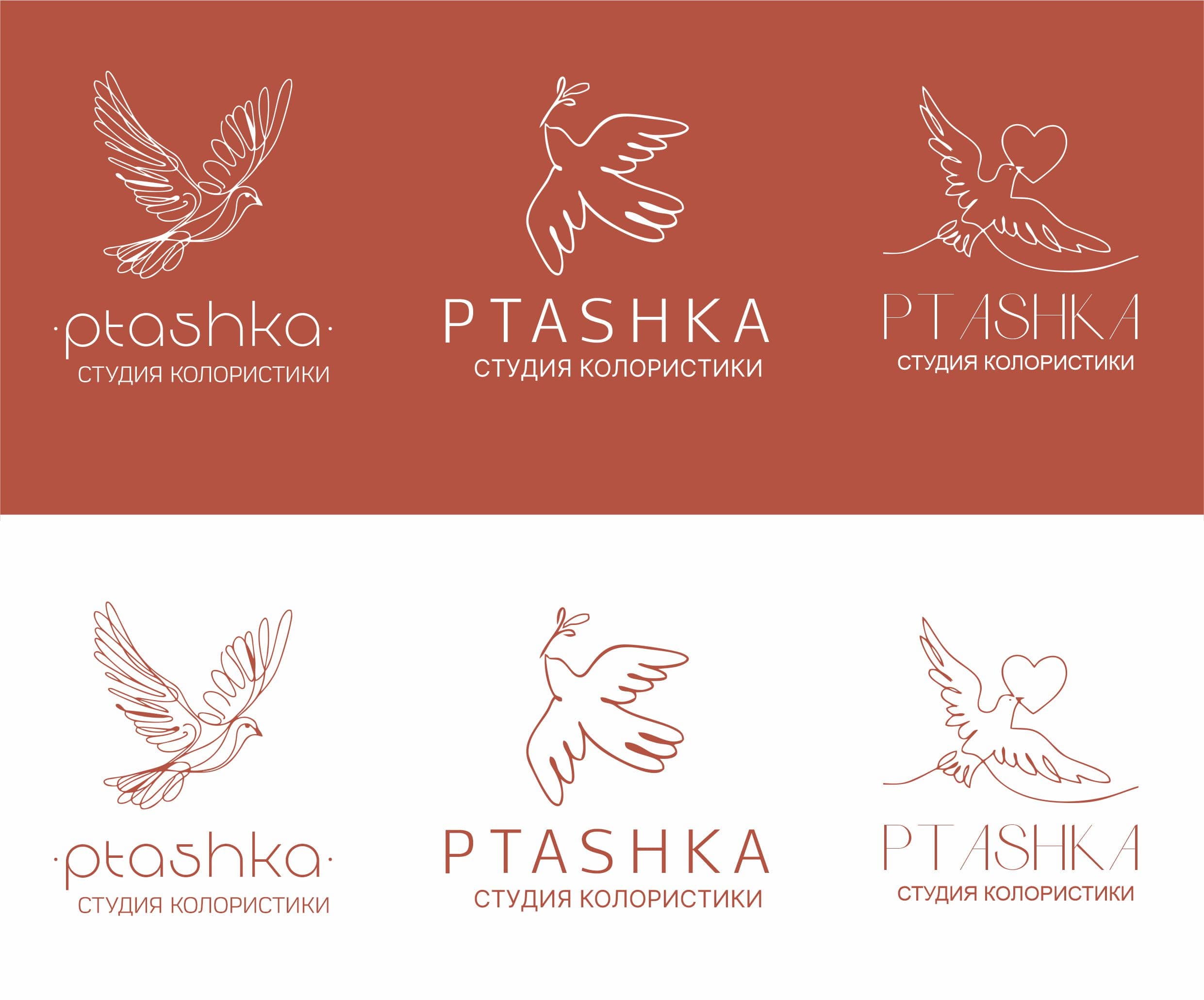 Варианты логотипа PTASHKA Студия колористики с минималистичным изображением птицы